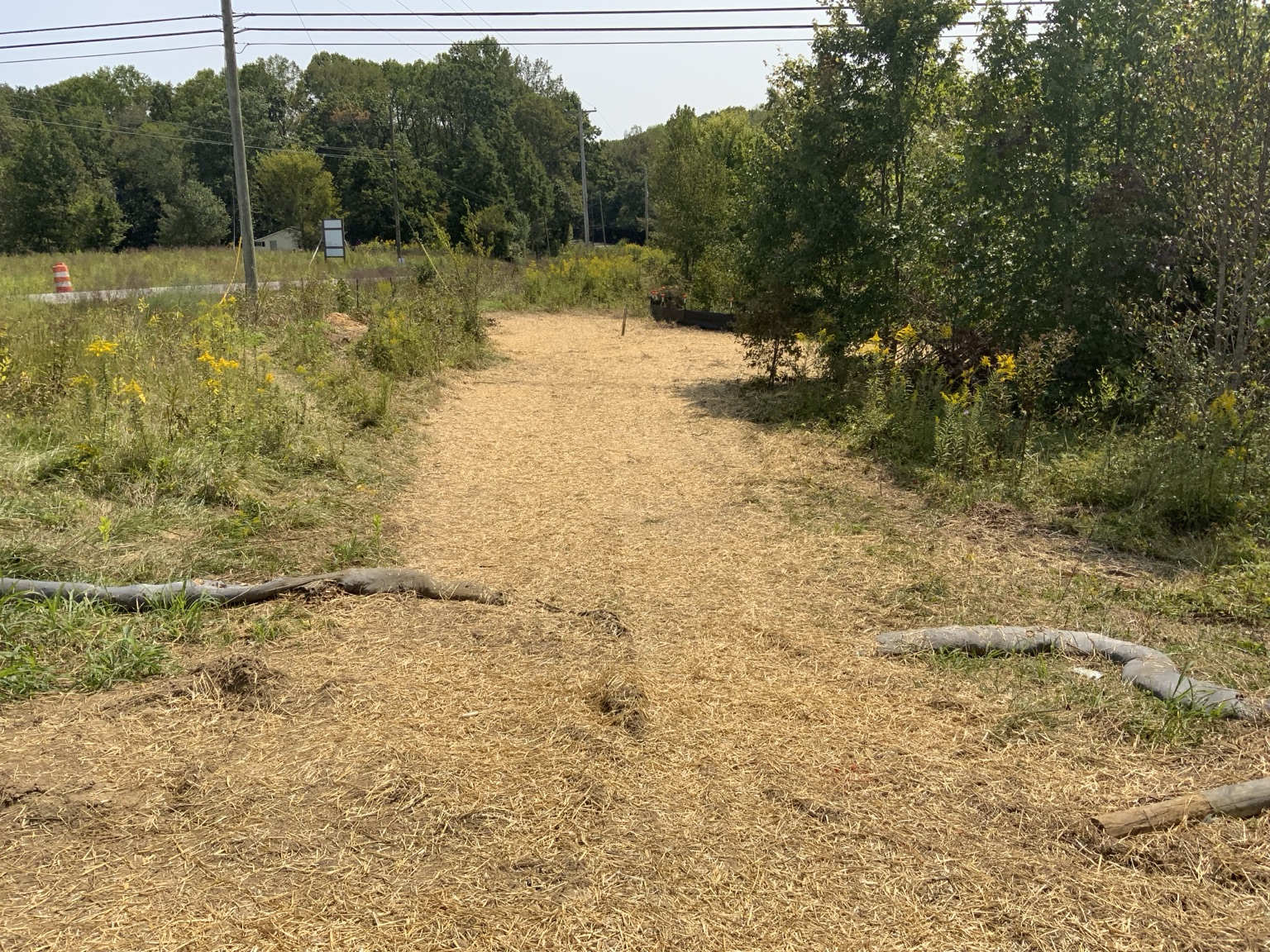 Restored project area following the water main relocation.